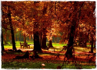 Park Miejski w Nysie zogrodemnaty1