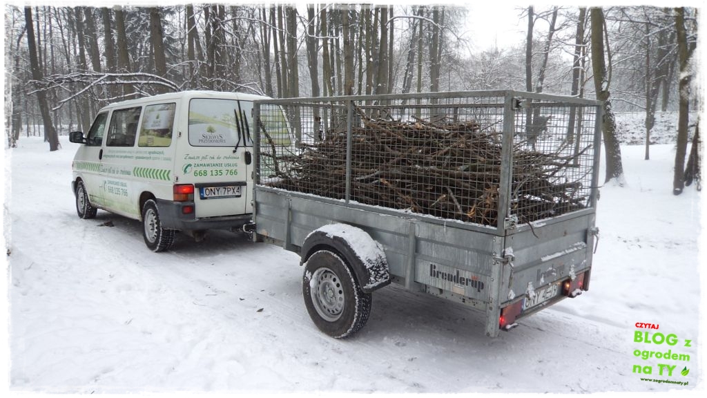 Park Miejski w Nysie zogrodemnaty10