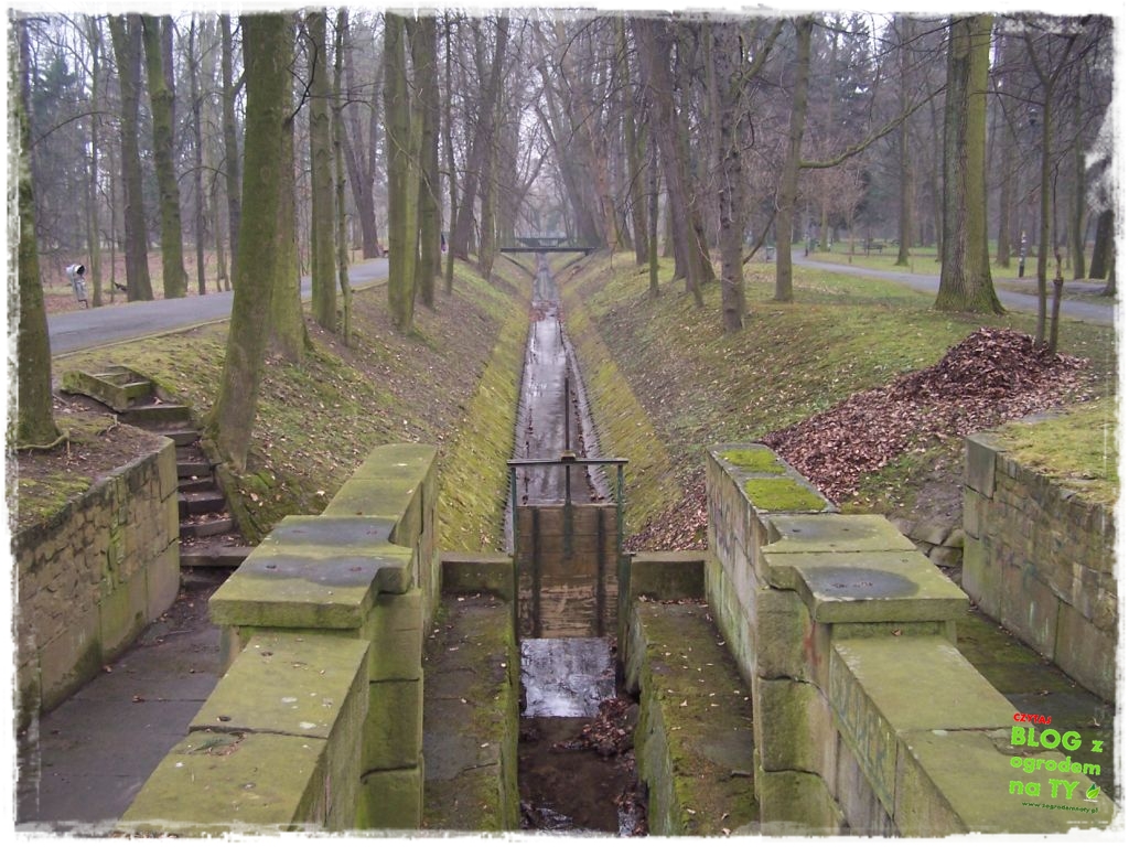 Park Miejski w Nysie zogrodemnaty11
