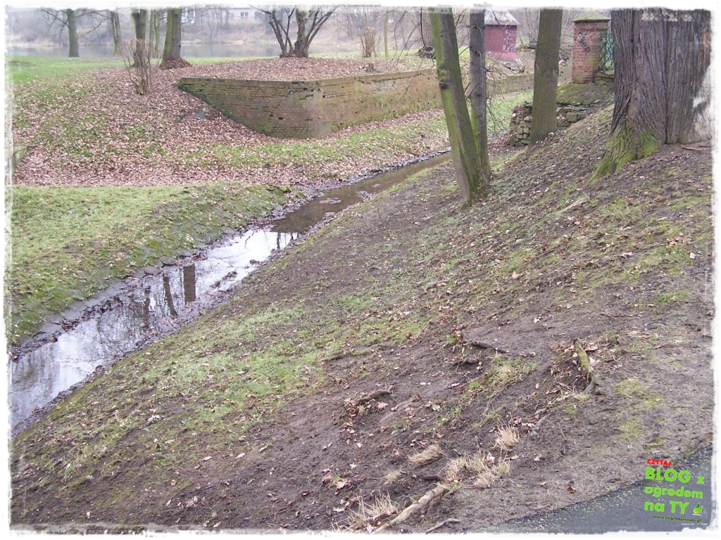 Park Miejski w Nysie zogrodemnaty12