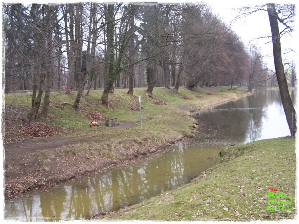 Park Miejski w Nysie zogrodemnaty13