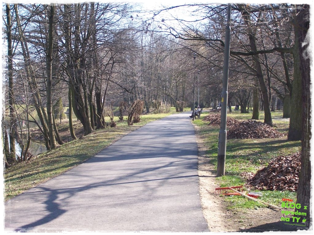 Park Miejski w Nysie zogrodemnaty15