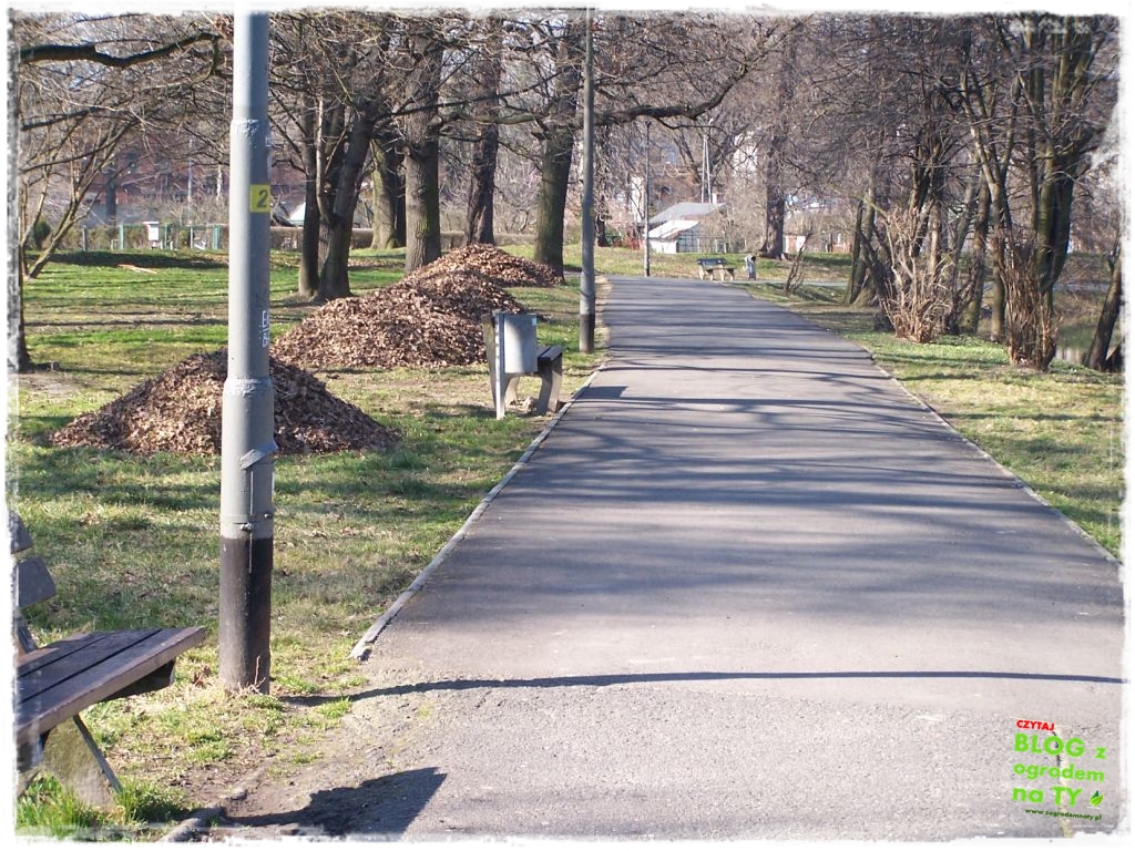 Park Miejski w Nysie zogrodemnaty16