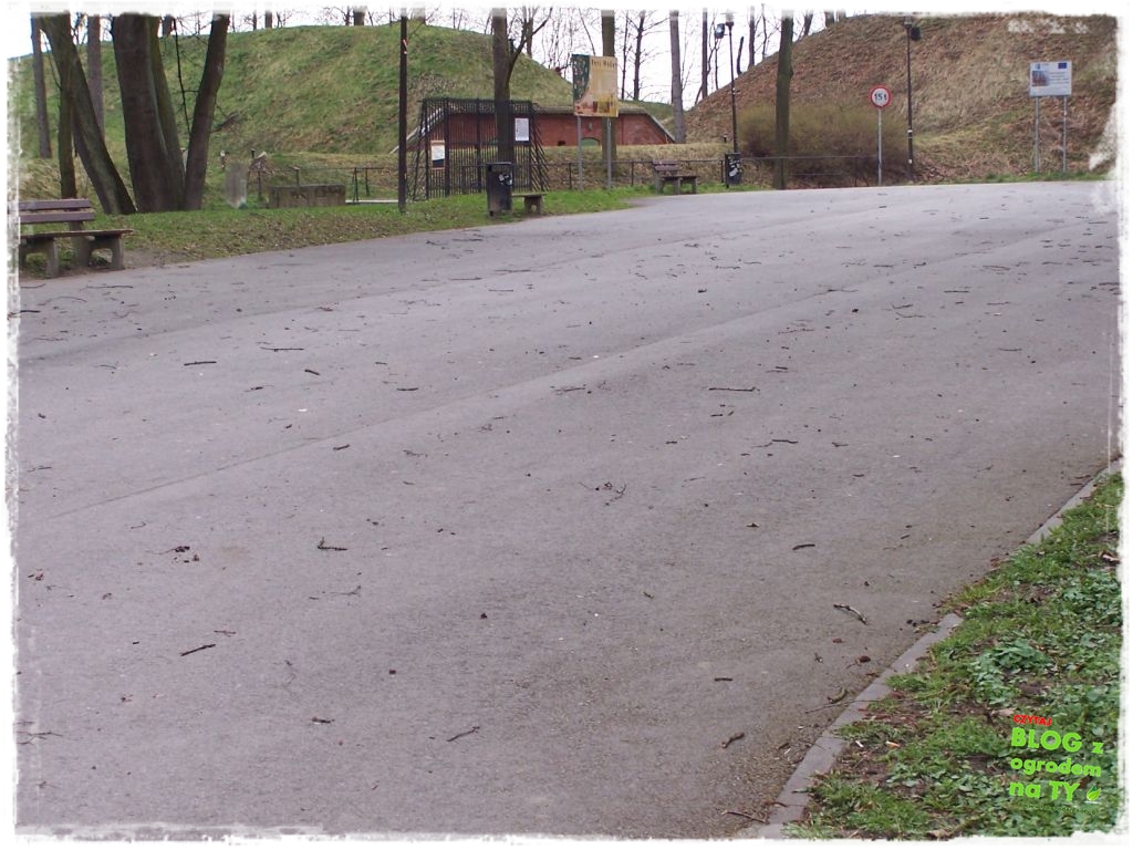 Park Miejski w Nysie zogrodemnaty17