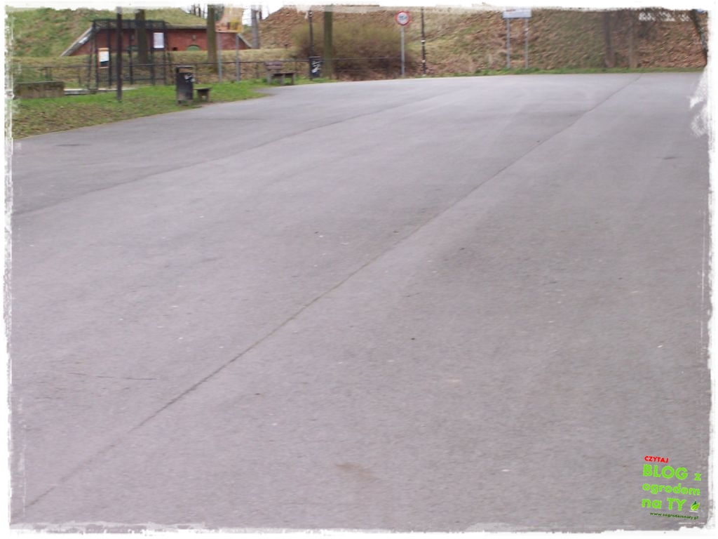 Park Miejski w Nysie zogrodemnaty18