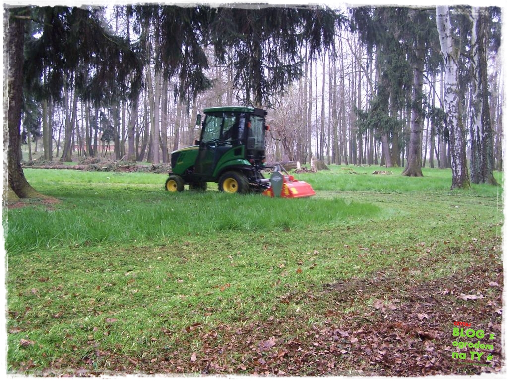 Park Miejski w Nysie zogrodemnaty23