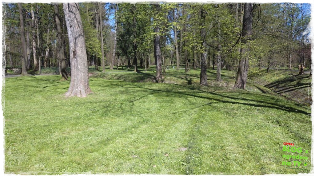 Park Miejski w Nysie zogrodemnaty24
