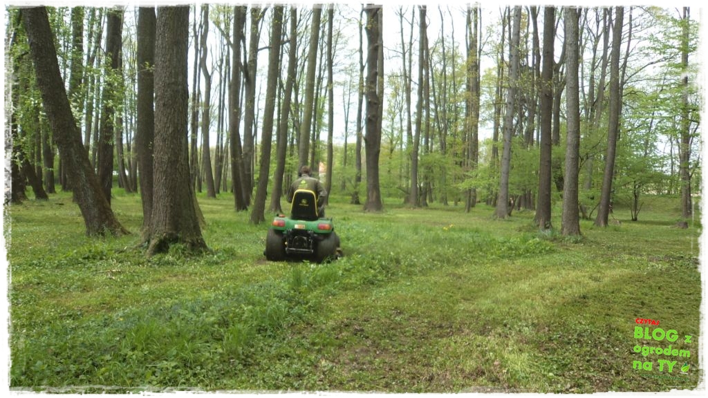 Park Miejski w Nysie zogrodemnaty25