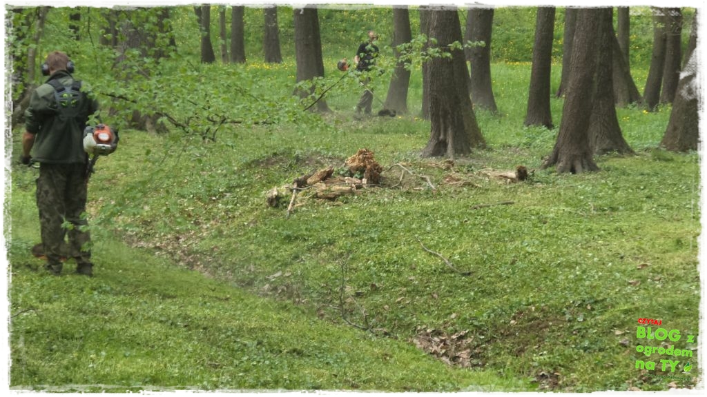 Park Miejski w Nysie zogrodemnaty26