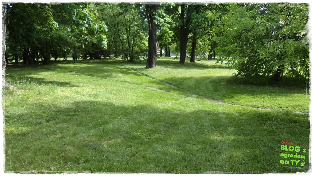 Park Miejski w Nysie zogrodemnaty28