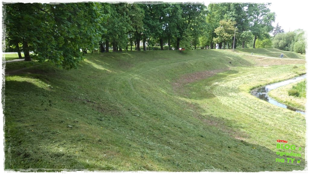 Park Miejski w Nysie zogrodemnaty29