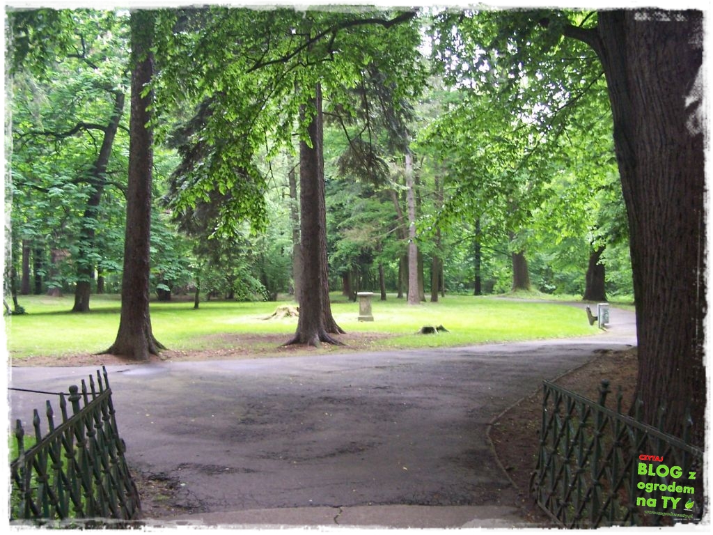 Park Miejski w Nysie zogrodemnaty30