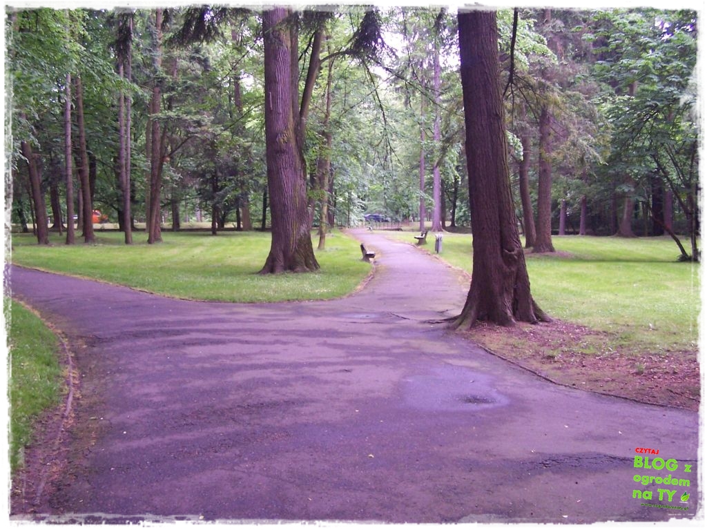 Park Miejski w Nysie zogrodemnaty31
