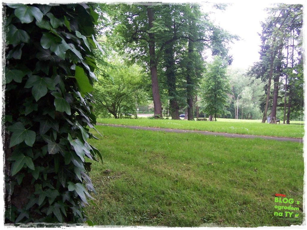 Park Miejski w Nysie zogrodemnaty32