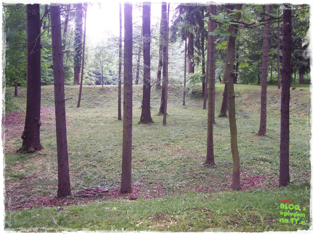 Park Miejski w Nysie zogrodemnaty34