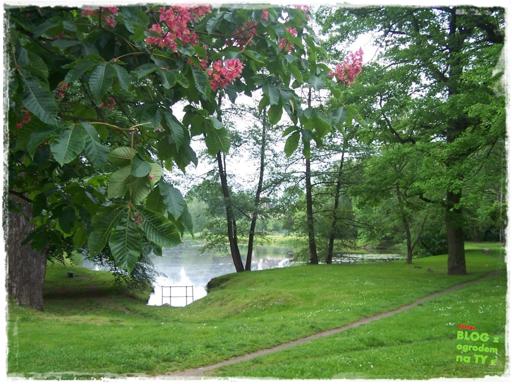 Park Miejski w Nysie zogrodemnaty36