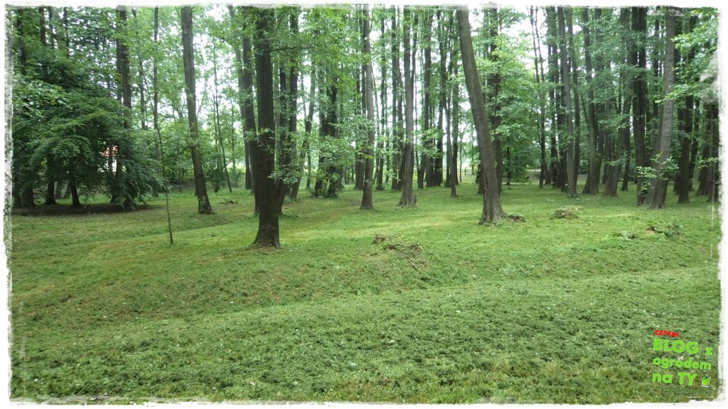 Park Miejski w Nysie zogrodemnaty38