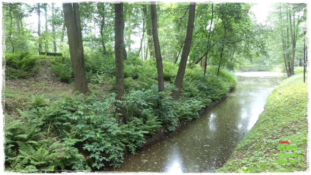 Park Miejski w Nysie zogrodemnaty39