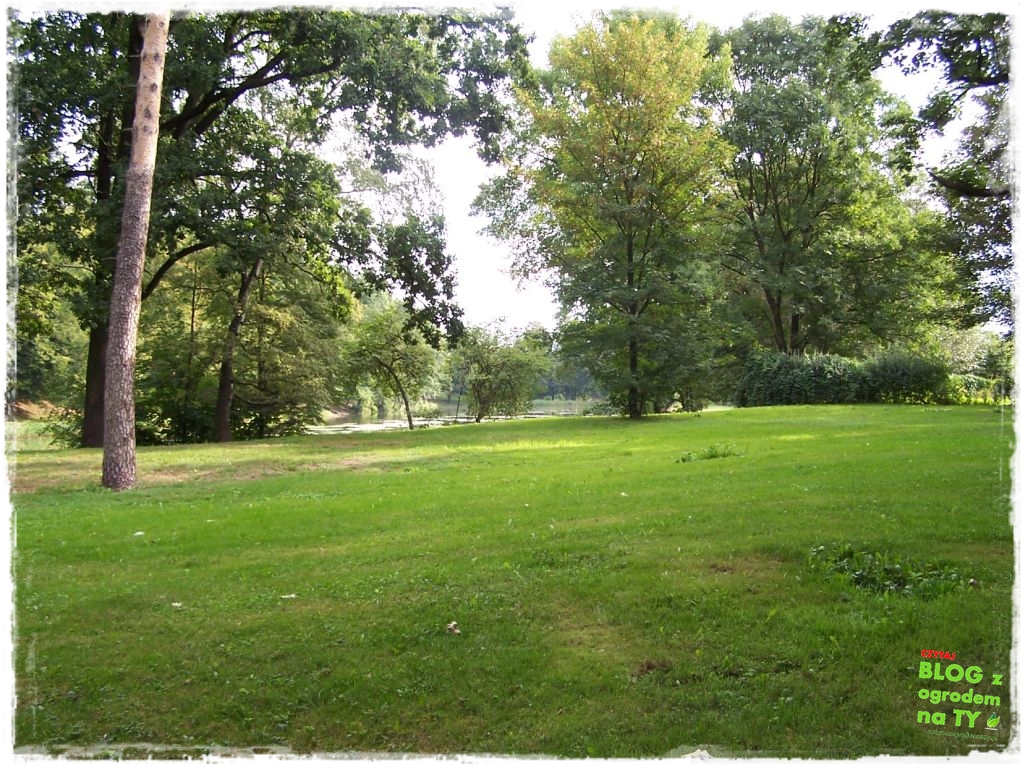 Park Miejski w Nysie zogrodemnaty40