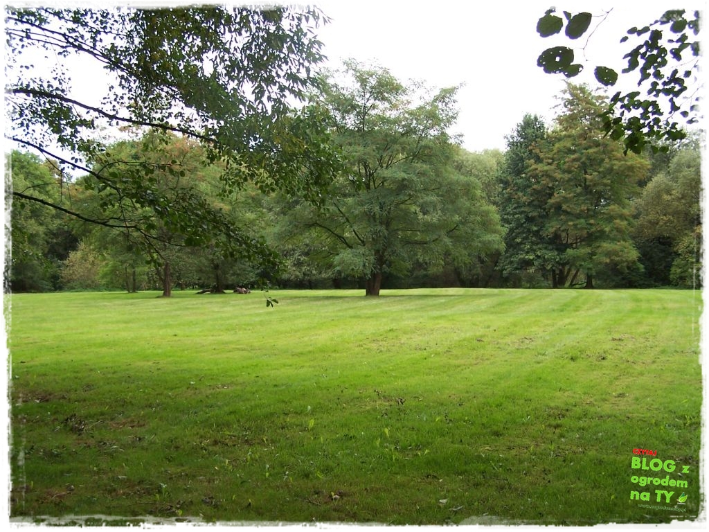 Park Miejski w Nysie zogrodemnaty41