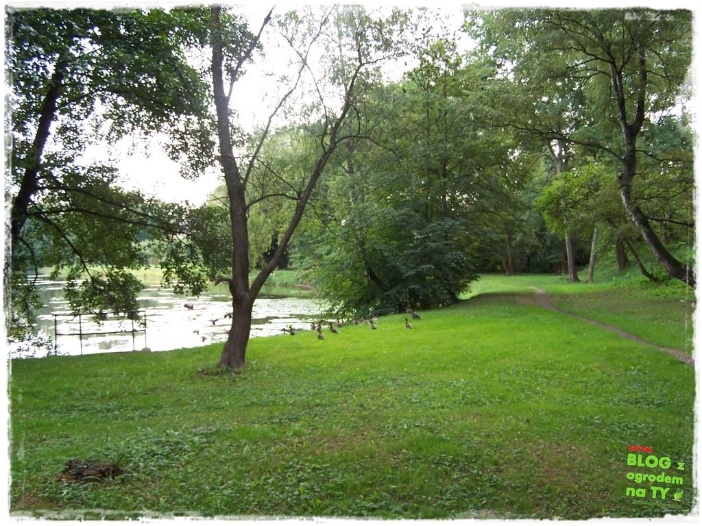 Park Miejski w Nysie zogrodemnaty42