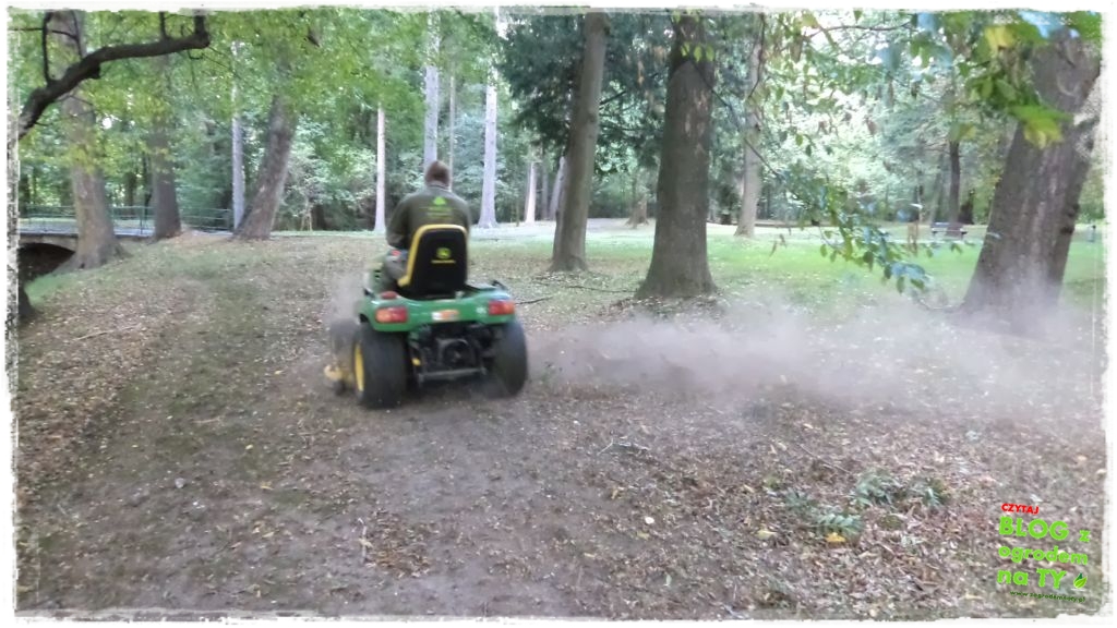 Park Miejski w Nysie zogrodemnaty43