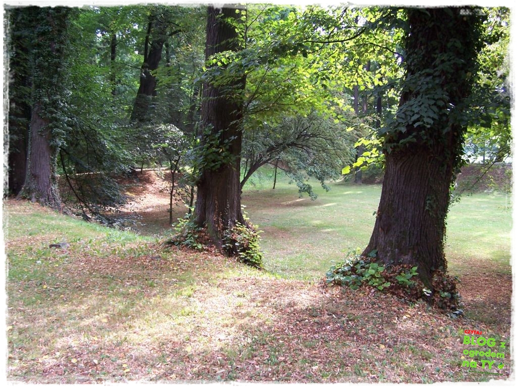 Park Miejski w Nysie zogrodemnaty44