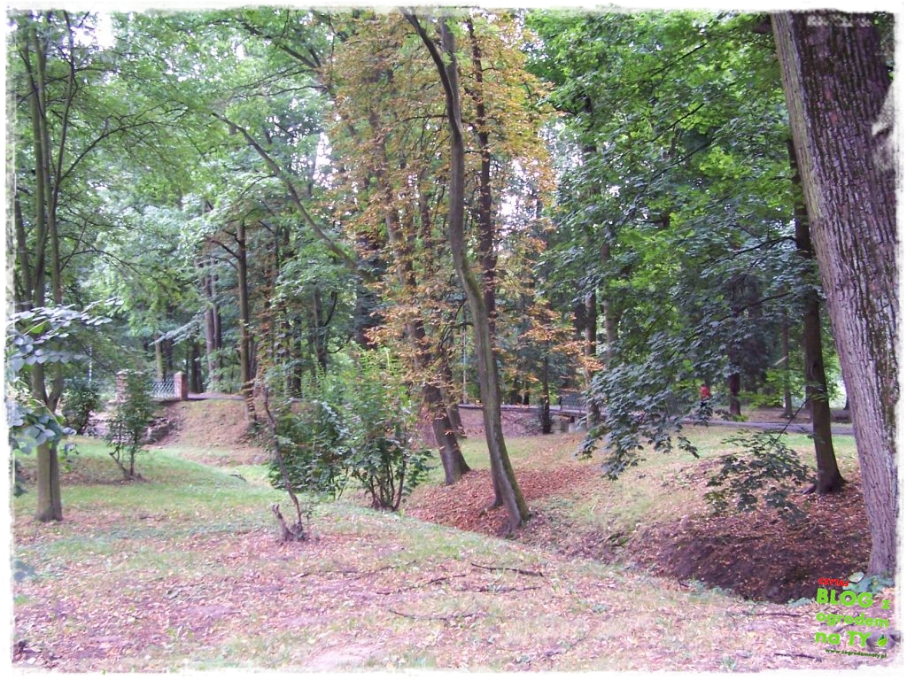 Park Miejski w Nysie zogrodemnaty45