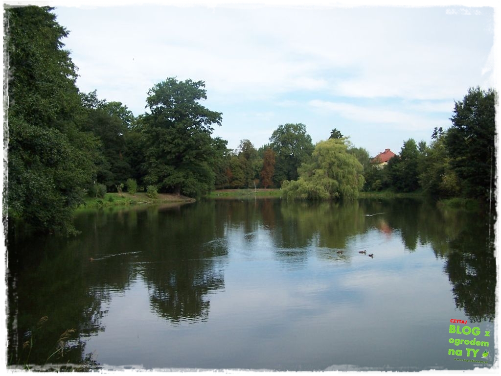 Park Miejski w Nysie zogrodemnaty46