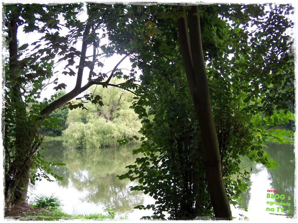 Park Miejski w Nysie zogrodemnaty47