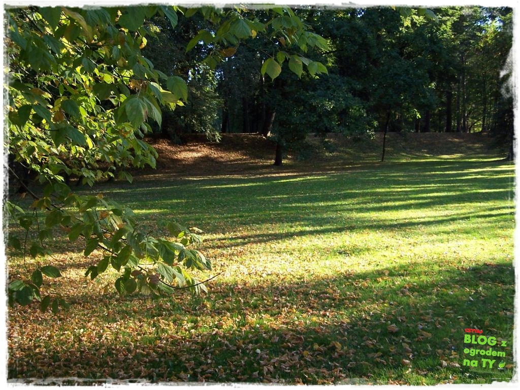 Park Miejski w Nysie zogrodemnaty48