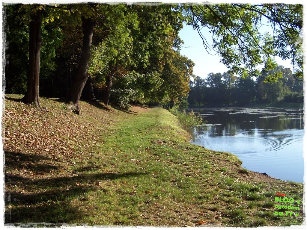 Park Miejski w Nysie zogrodemnaty49