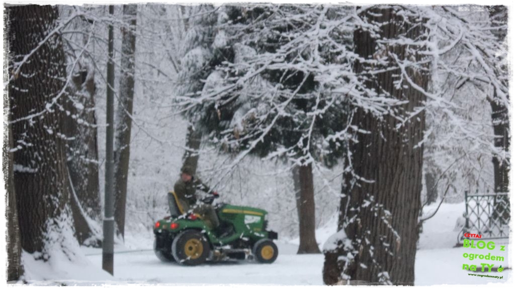 Park Miejski w Nysie zogrodemnaty5