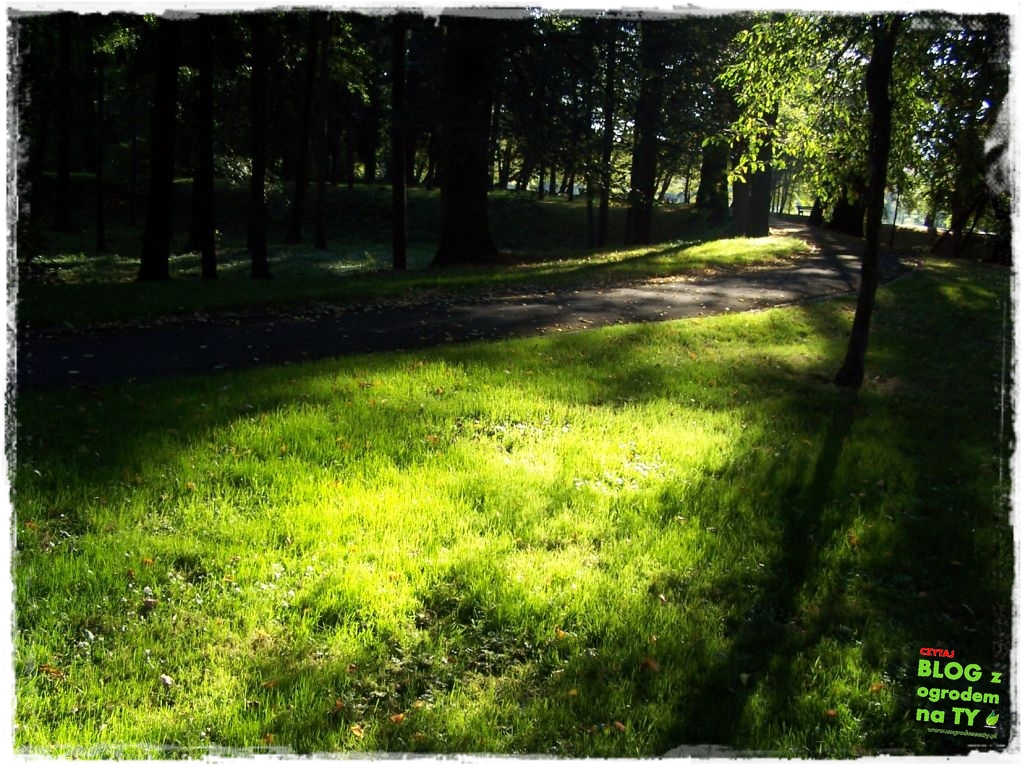 Park Miejski w Nysie zogrodemnaty50
