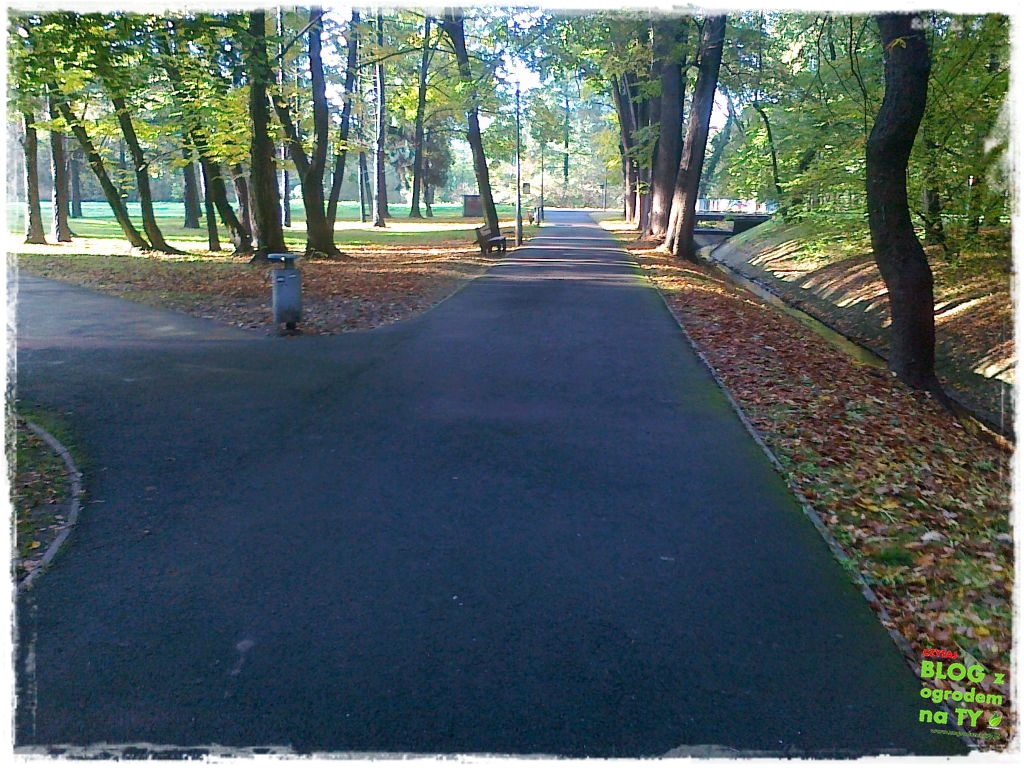 Park Miejski w Nysie zogrodemnaty53