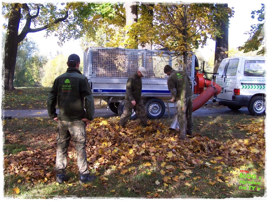 Park Miejski w Nysie zogrodemnaty67