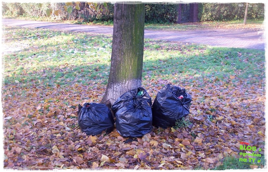 Park Miejski w Nysie zogrodemnaty68