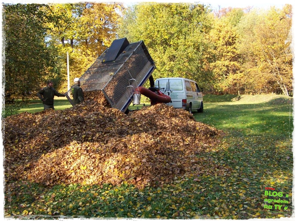 Park Miejski w Nysie zogrodemnaty69