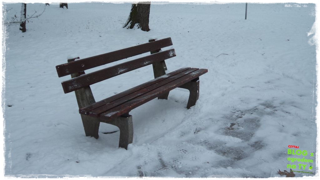 Park Miejski w Nysie zogrodemnaty7