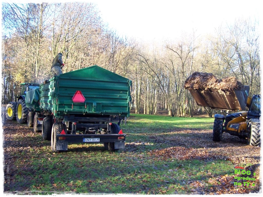 Park Miejski w Nysie zogrodemnaty71