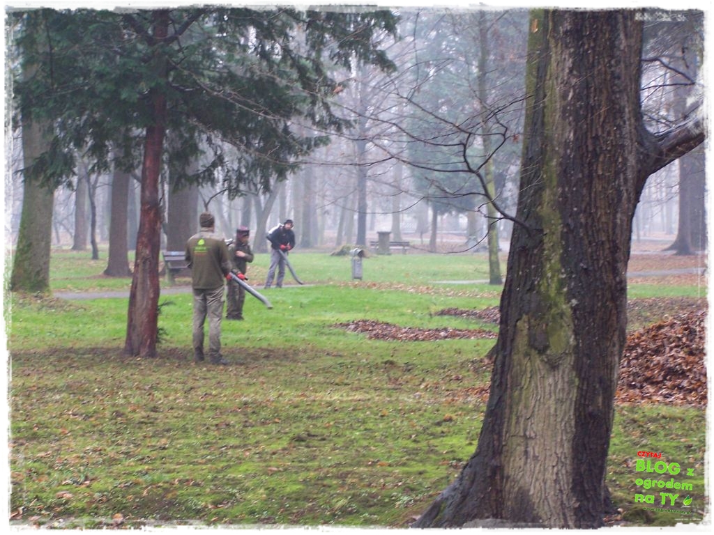 Park Miejski w Nysie zogrodemnaty72