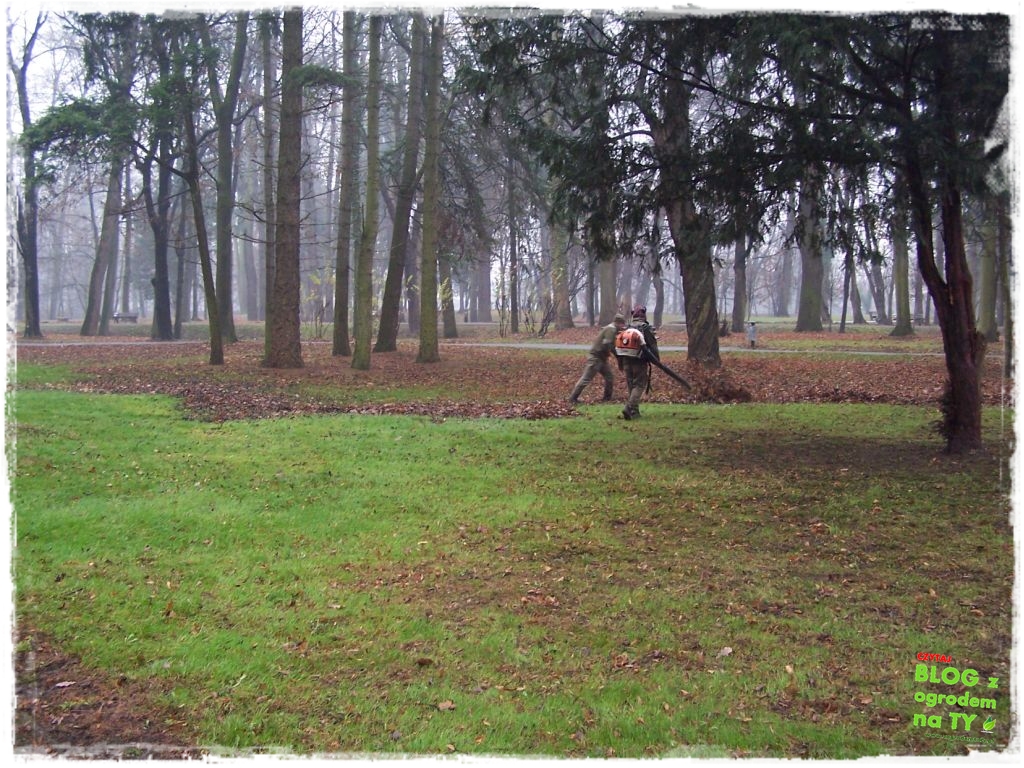 Park Miejski w Nysie zogrodemnaty73