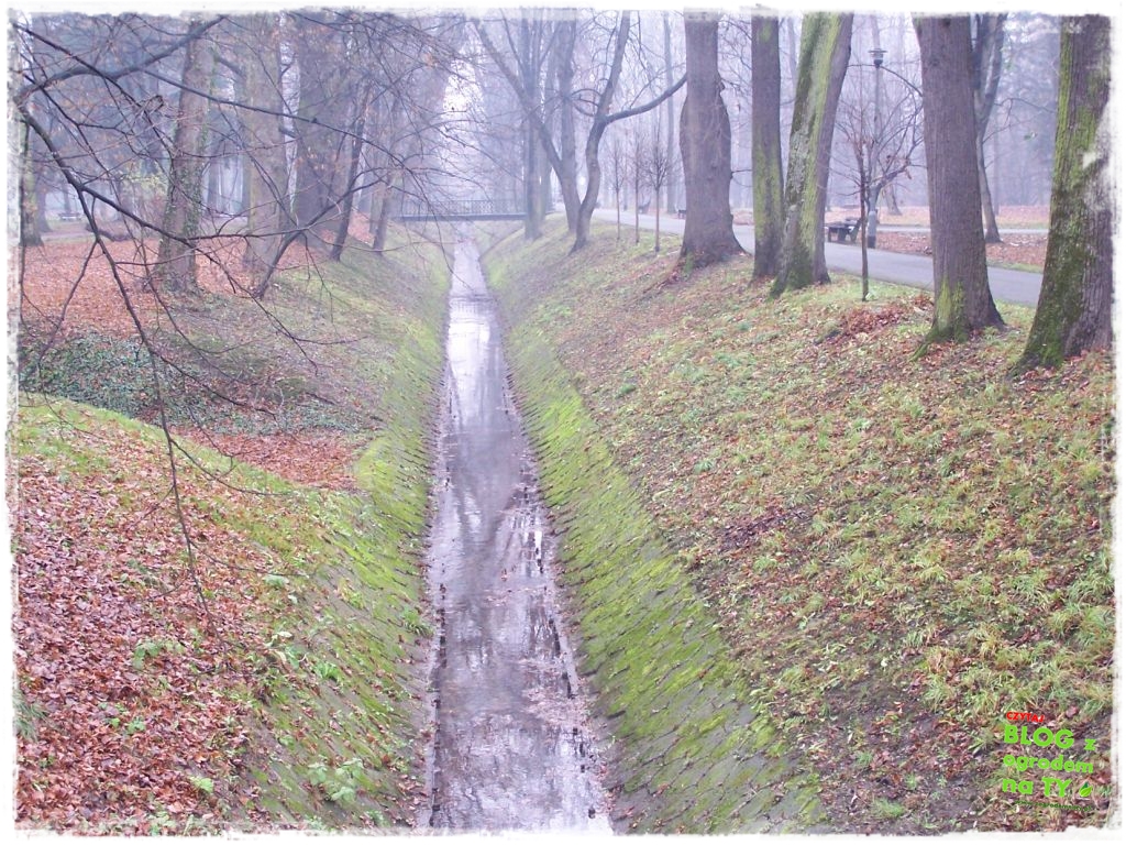 Park Miejski w Nysie zogrodemnaty75