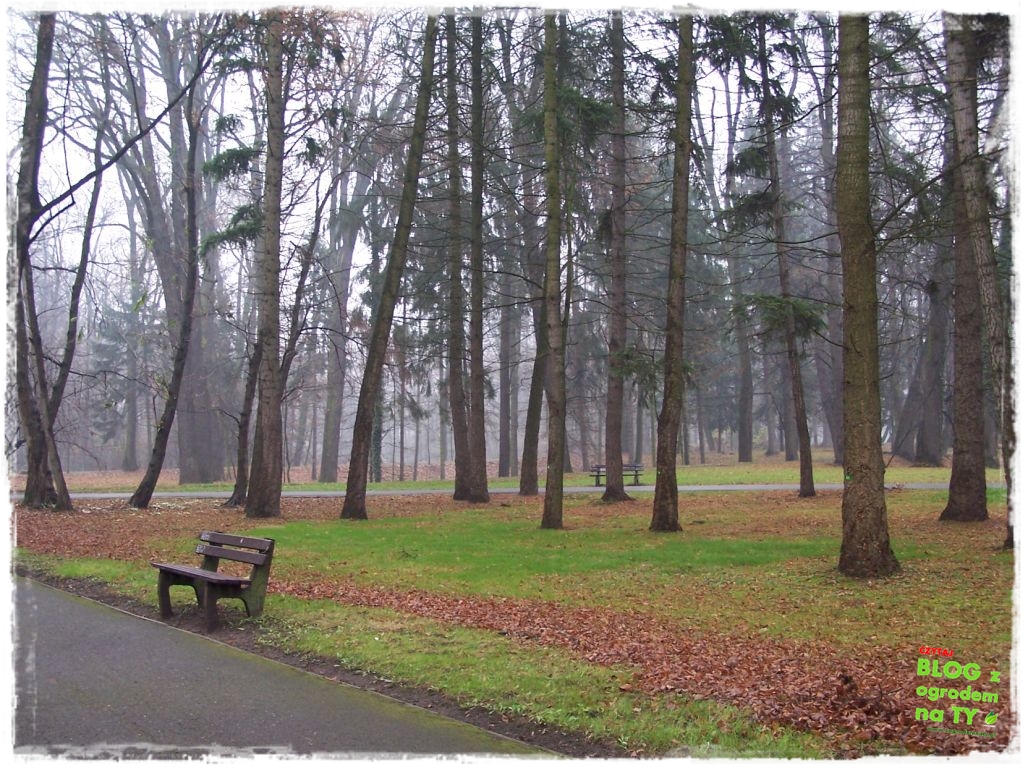 Park Miejski w Nysie zogrodemnaty76