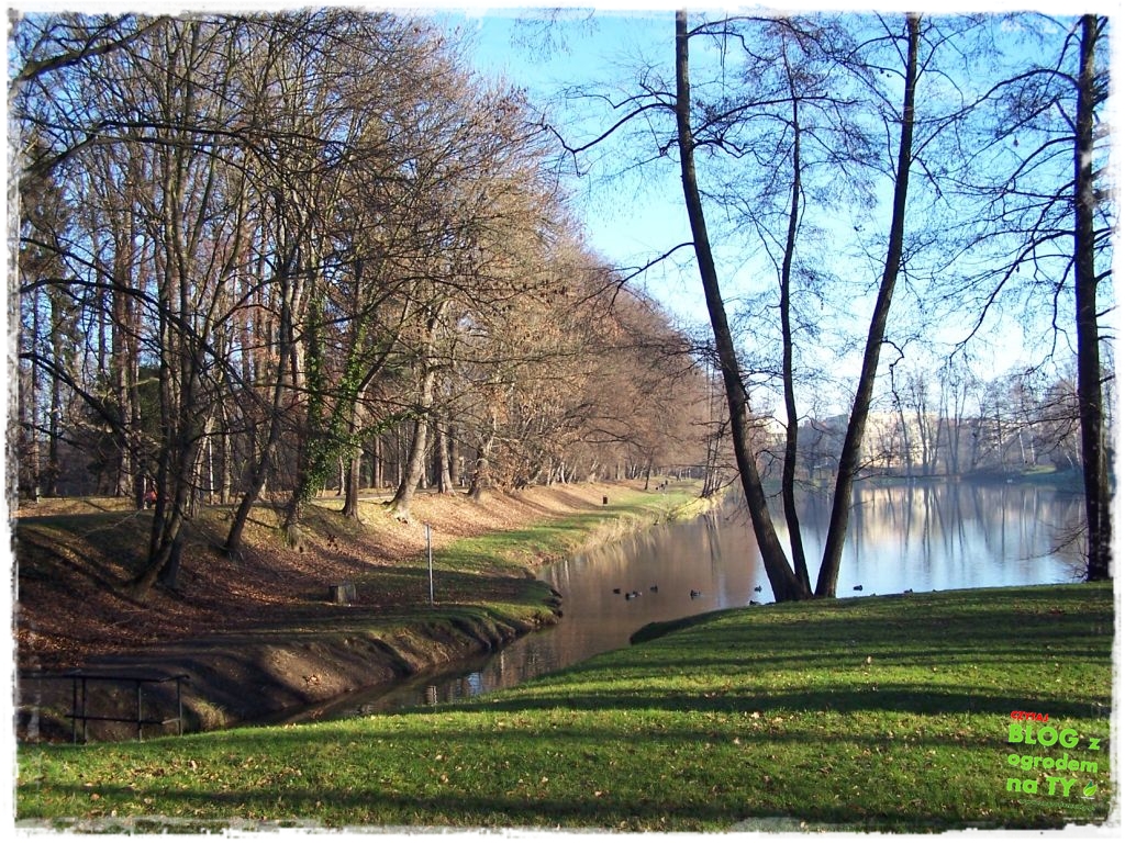 Park Miejski w Nysie zogrodemnaty78
