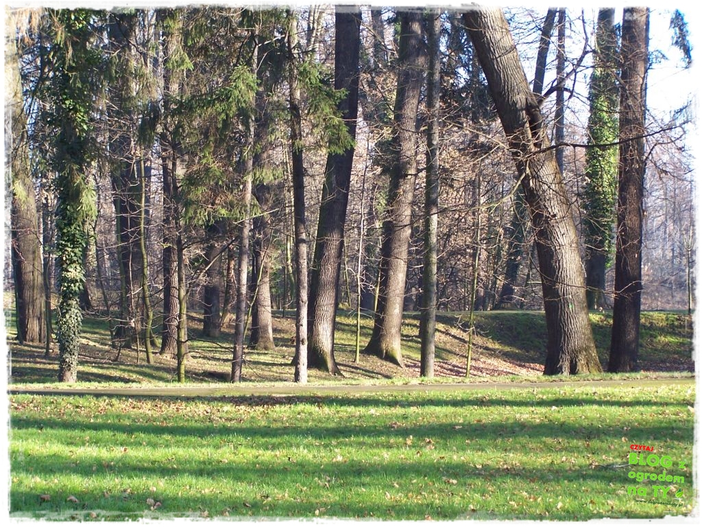 Park Miejski w Nysie zogrodemnaty80