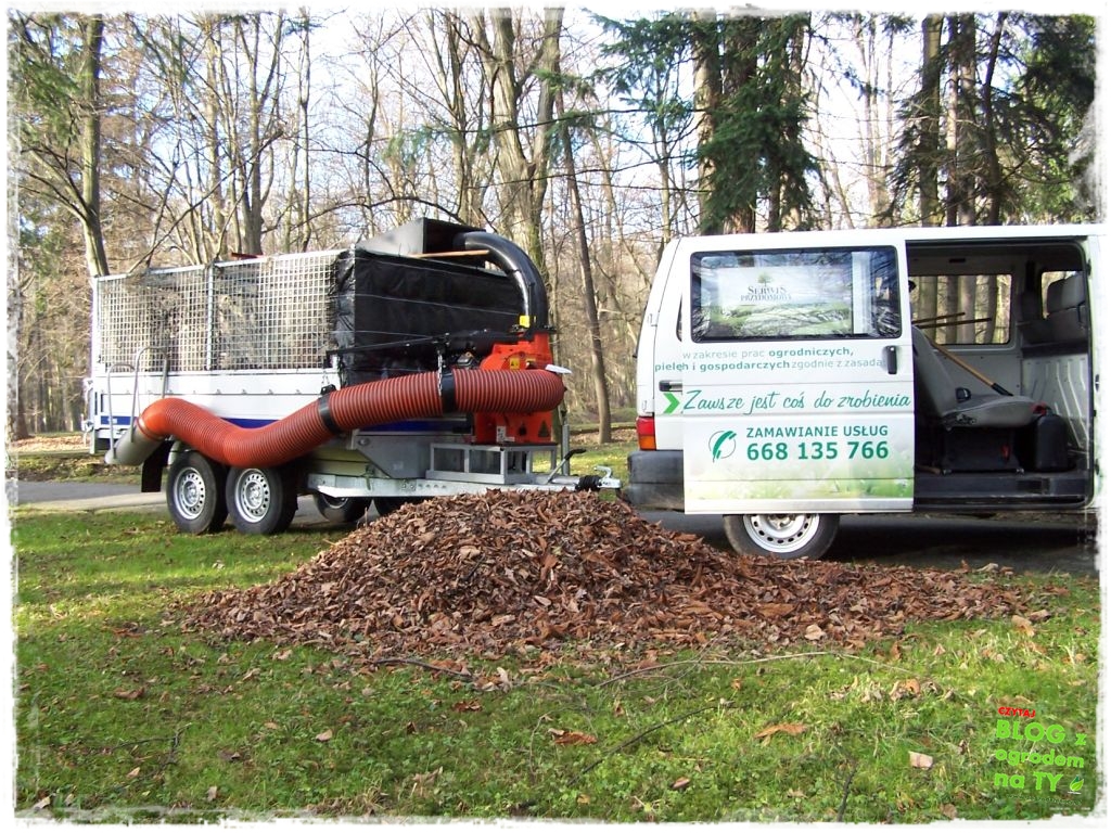 Park Miejski w Nysie zogrodemnaty82