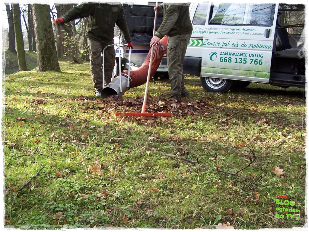 Park Miejski w Nysie zogrodemnaty83