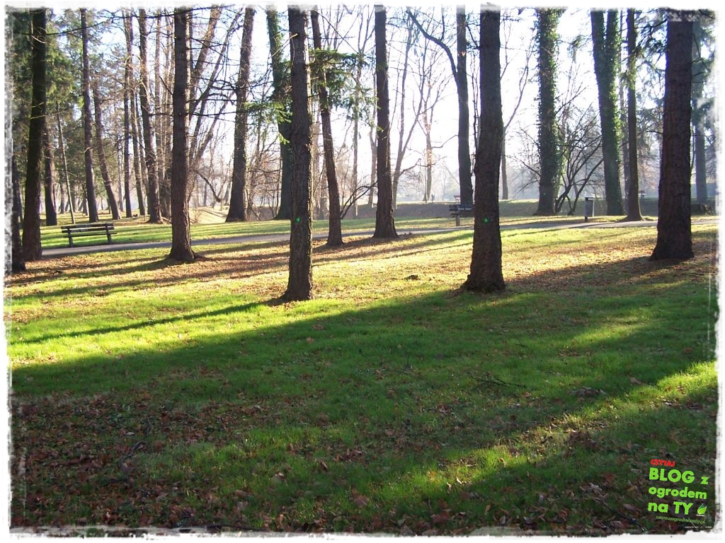 Park Miejski w Nysie zogrodemnaty84
