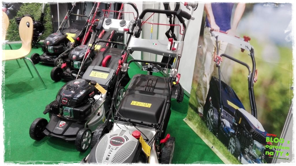 Gardenia 2016 poznań zogrodemnaty33